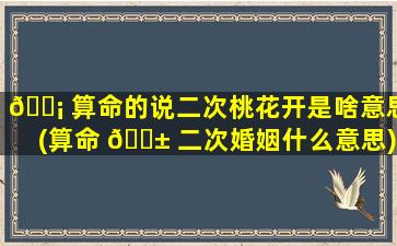 🐡 算命的说二次桃花开是啥意思(算命 🐱 二次婚姻什么意思)